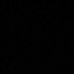 Meet your Posher, Bertha